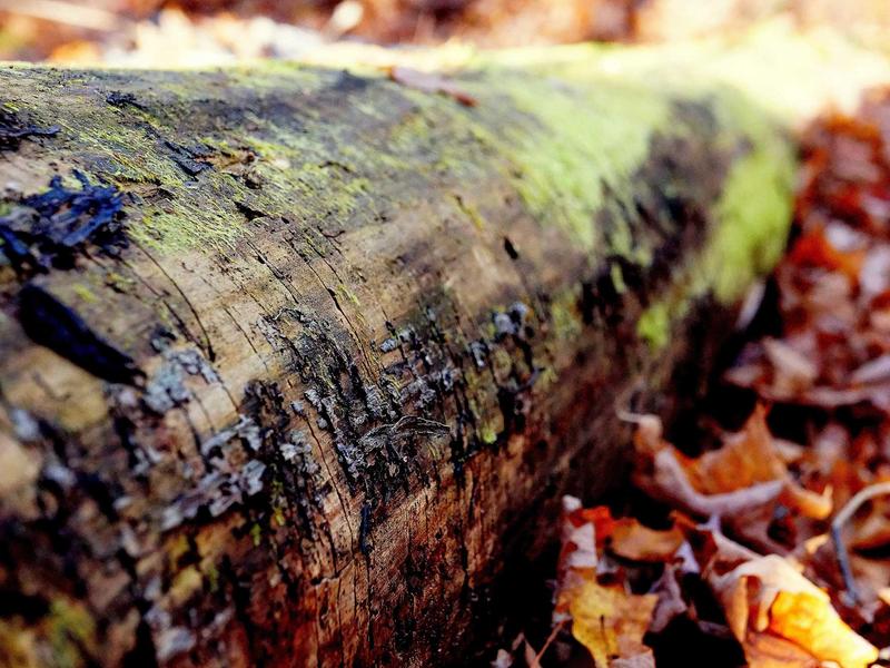 sudoku zen mode screenshot 2